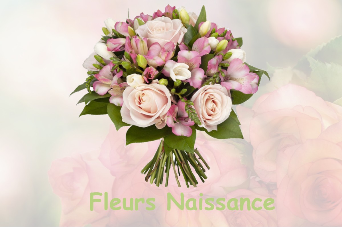 fleurs naissance LA-BUISSE