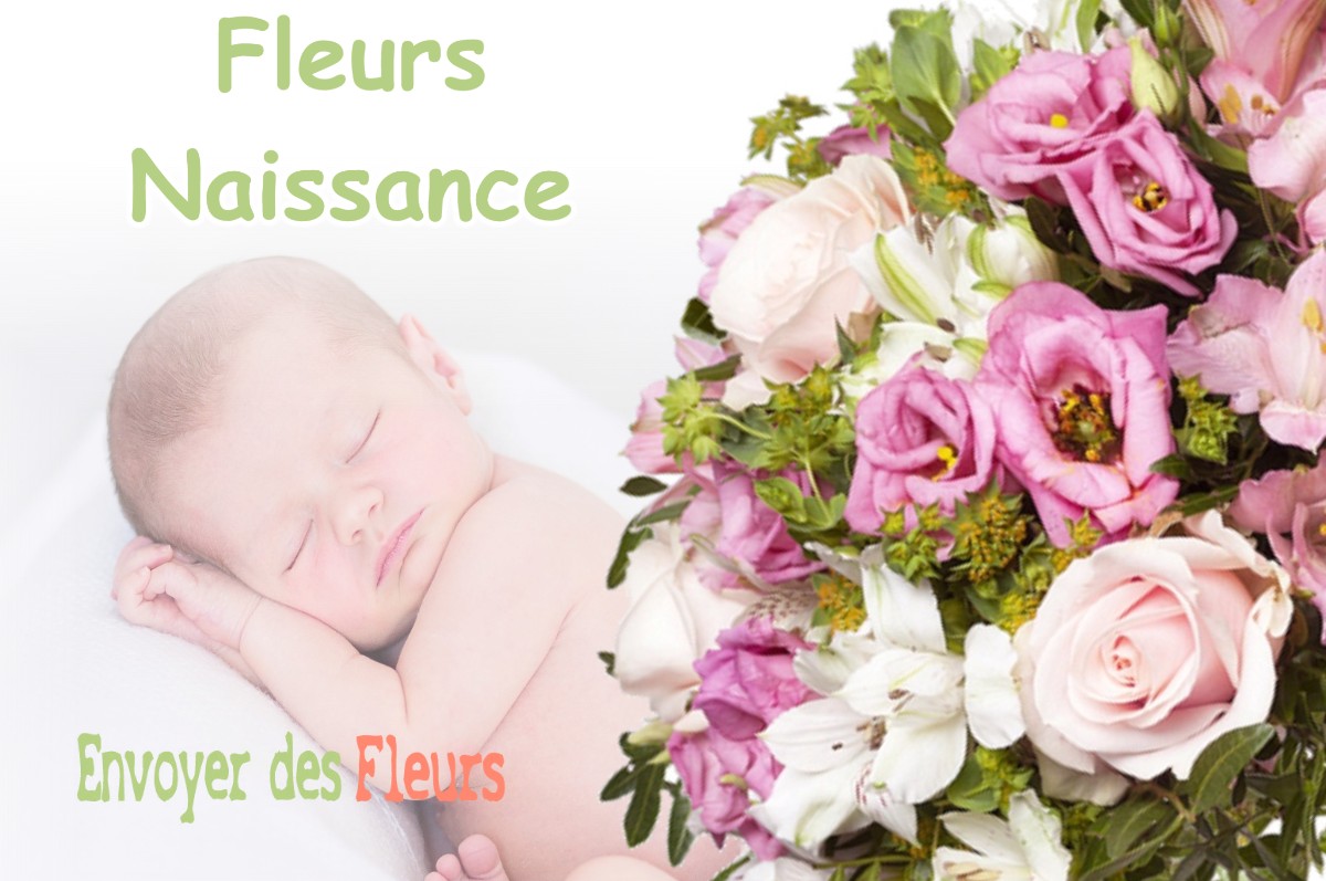 lIVRAISON FLEURS NAISSANCE à LA-BUISSE